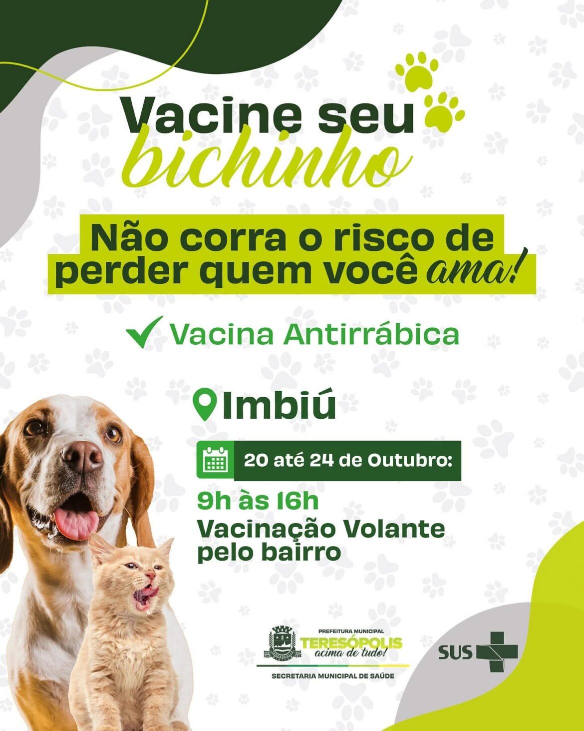 Vacinação de cães e gatos no Imbiú